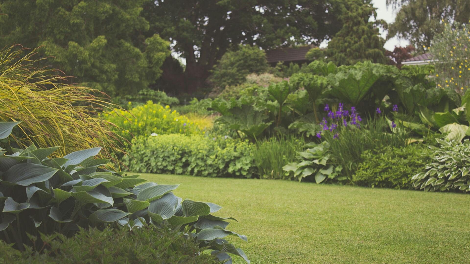 A lush backyard garden with vibrant plants and manicured lawn, ideal for a relaxing outdoor space.
