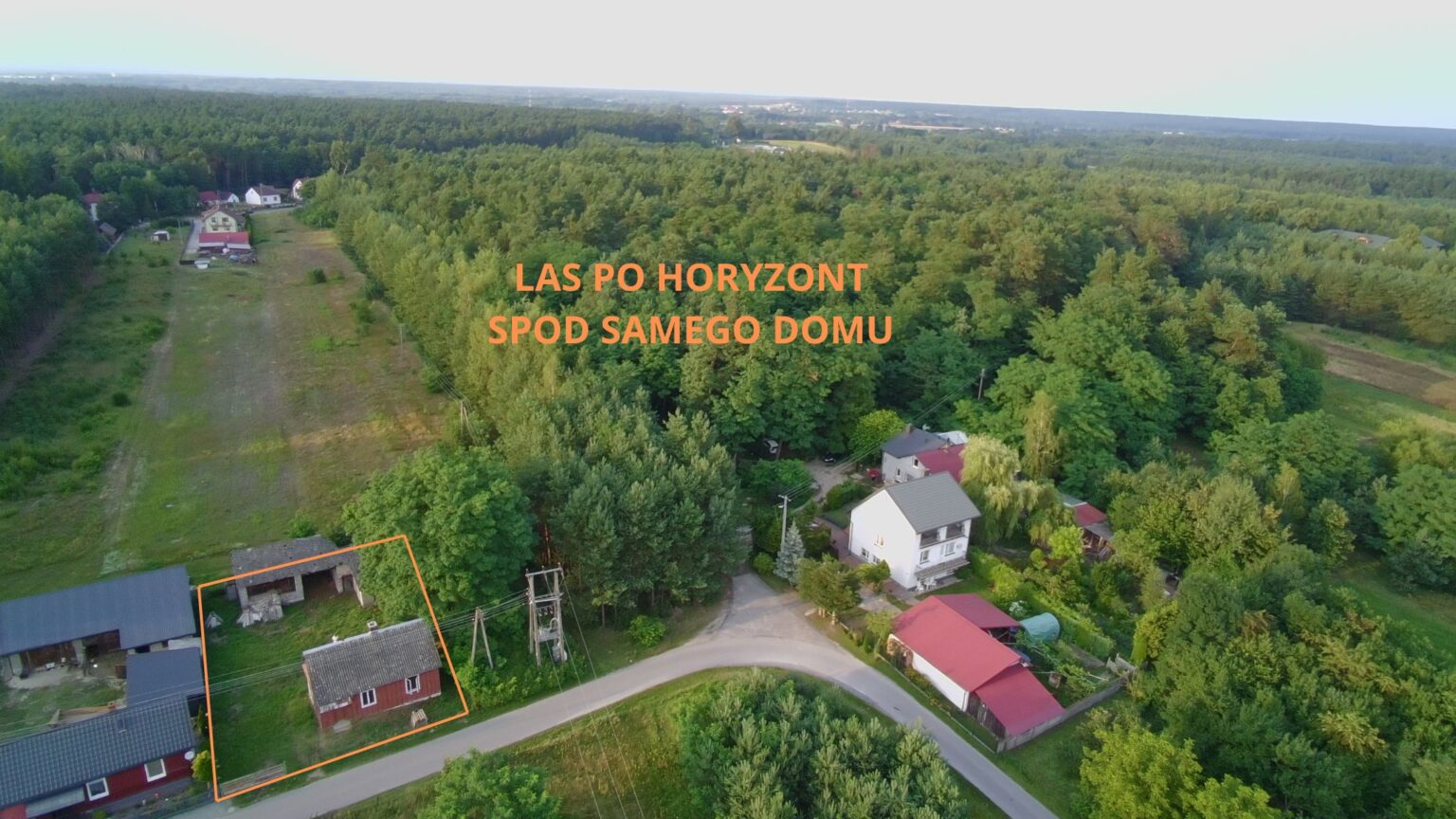 widok z drona na las