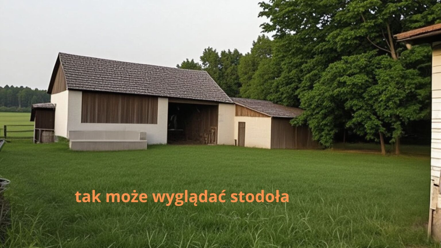 stodoła - propozycja