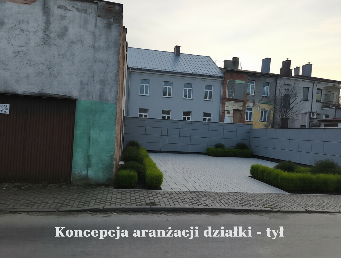 Koncepcja tył 1